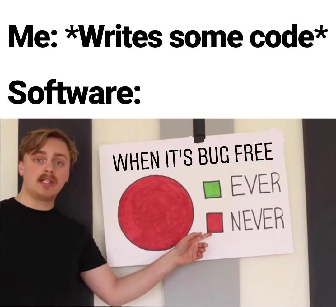 Programming bugs meme
